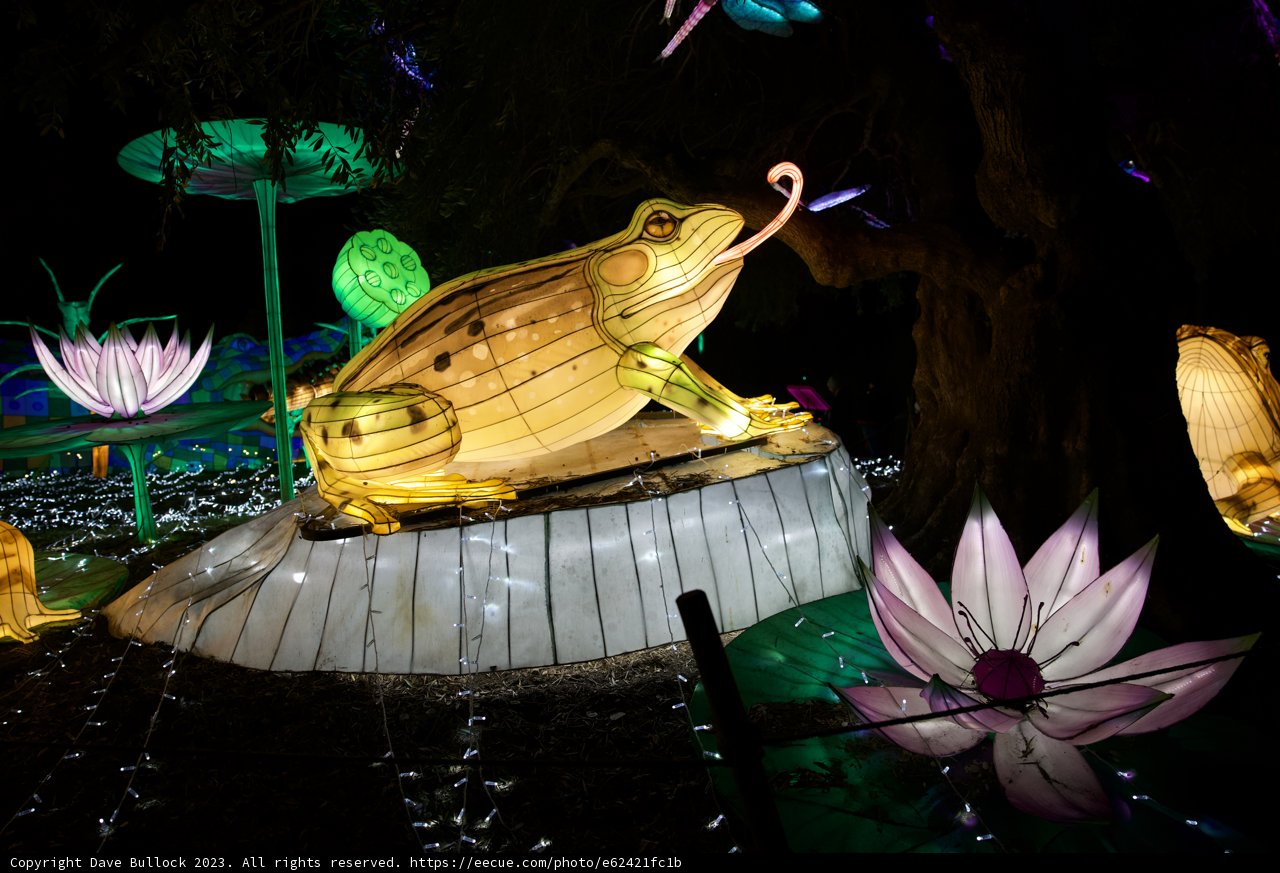 Enchanted Evening at Glowfari Oakland Zoo
