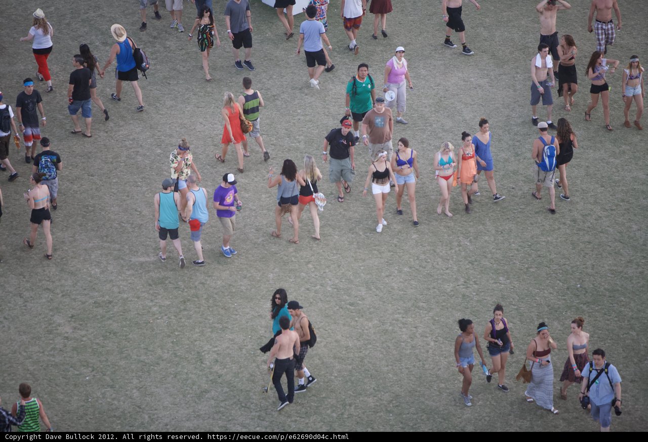 Walking through the Crowd
