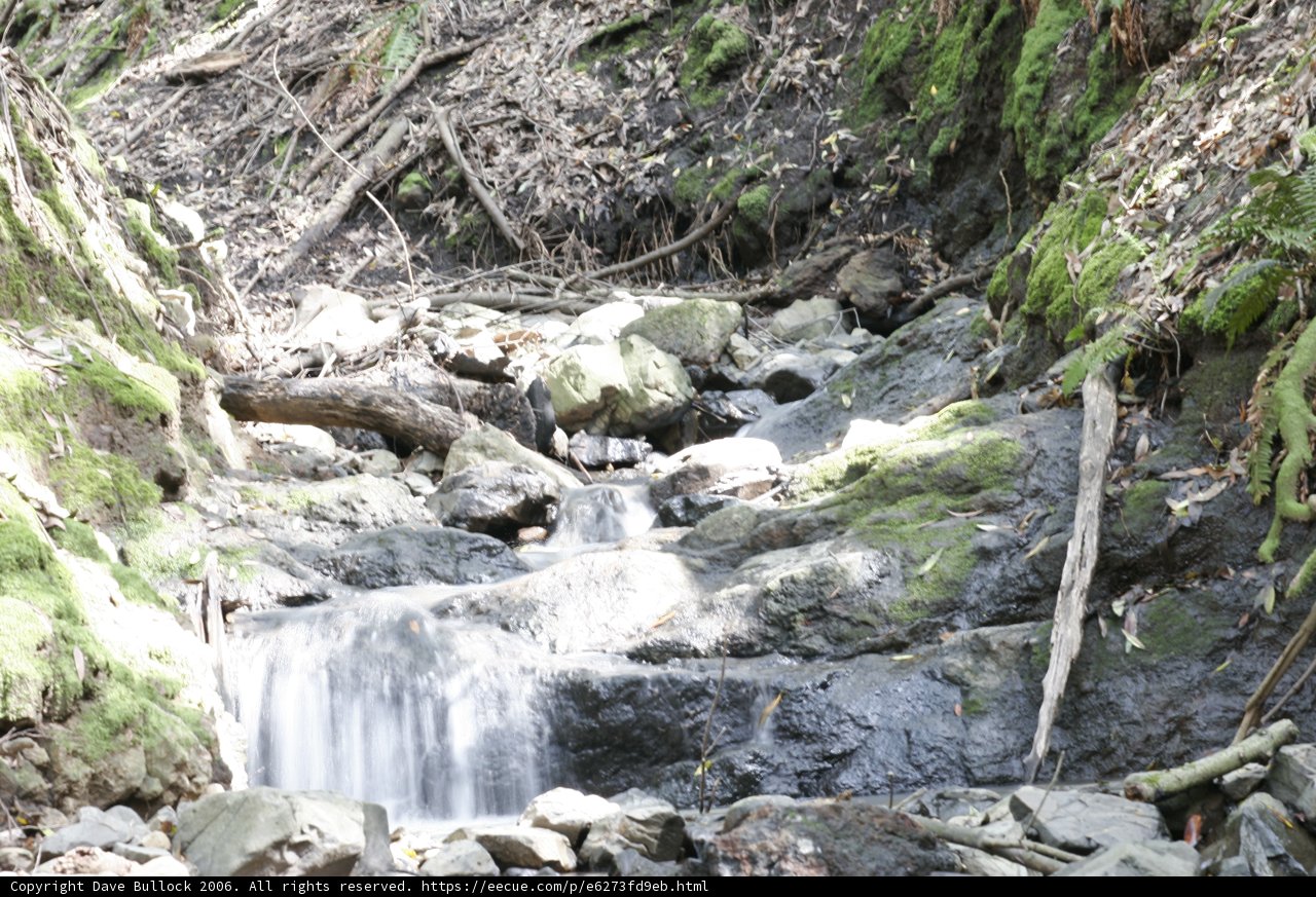 The Serene Beauty of a Small Waterfall in the Forest