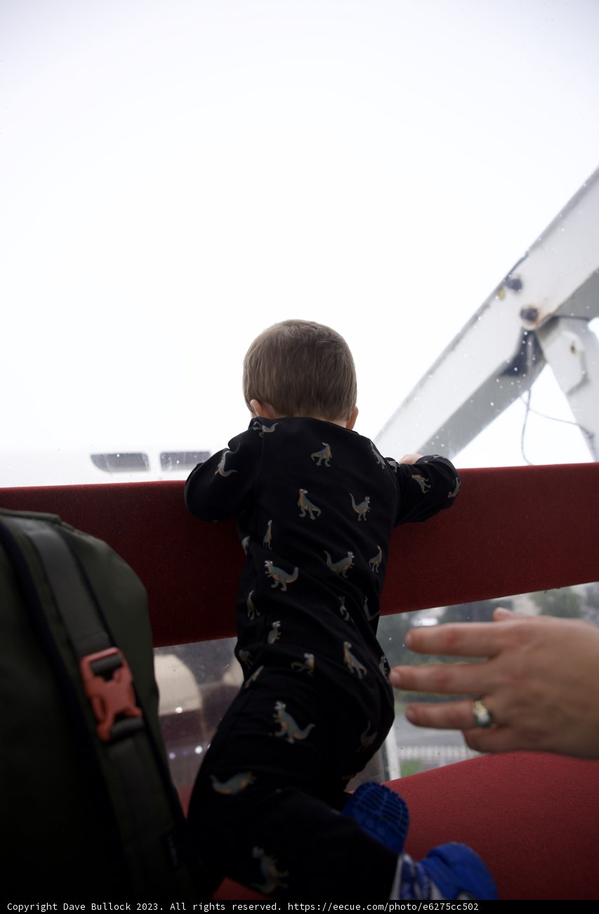 Unforgettable Moments with Little Wesley