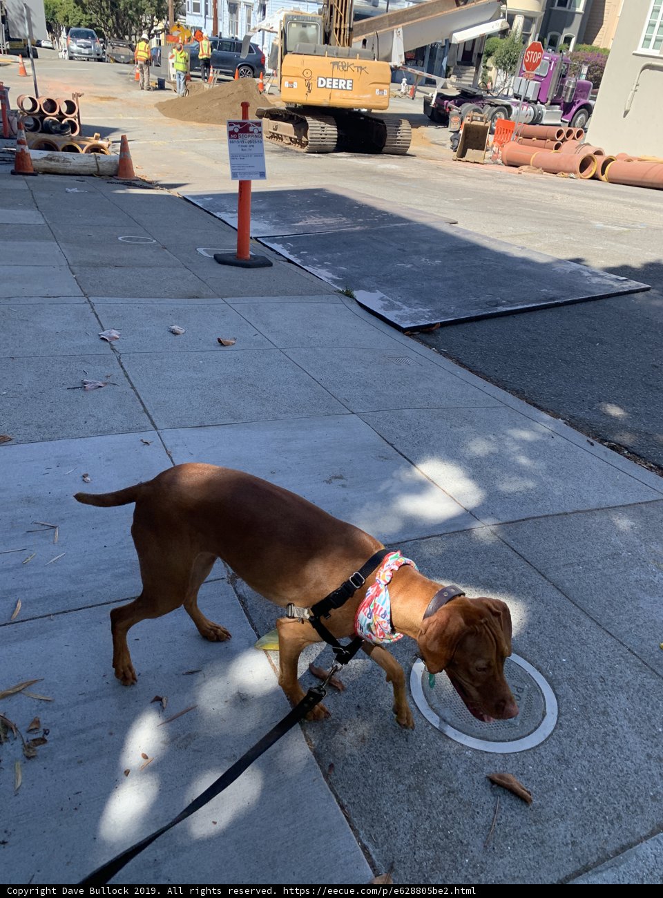 Construction Walkies