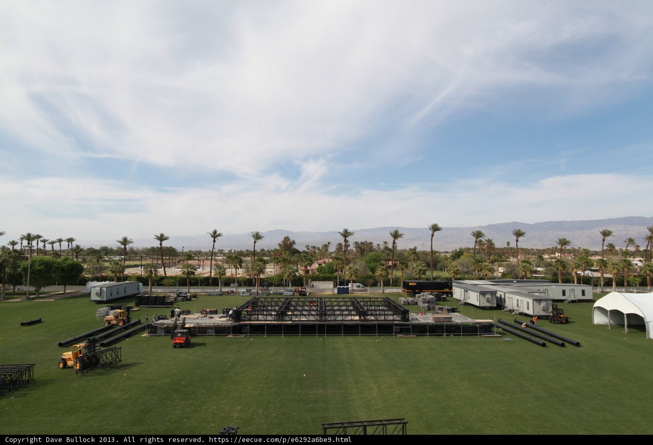 Coachella's Palm Tree Paradise