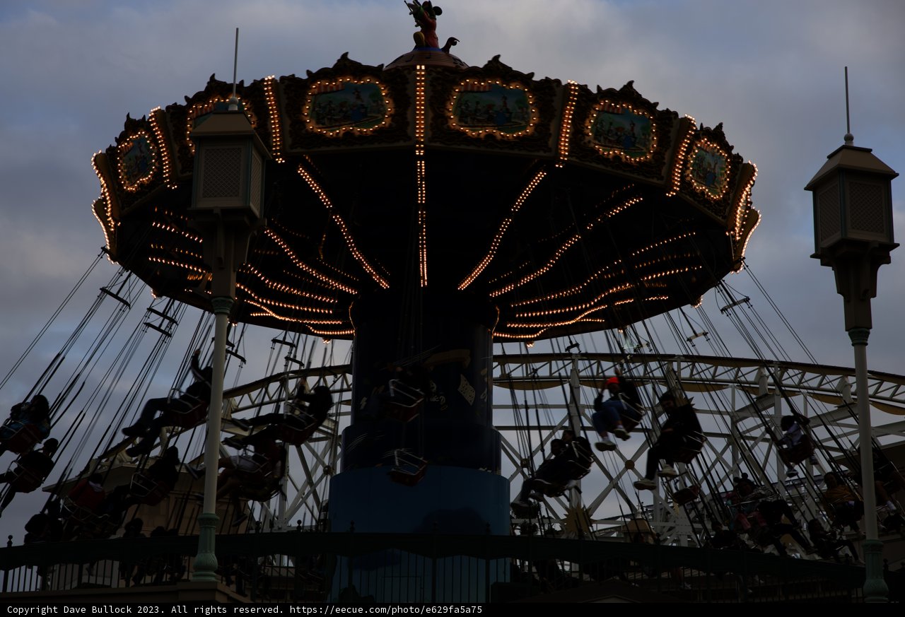 Magical Carousel Moments at Disneyland