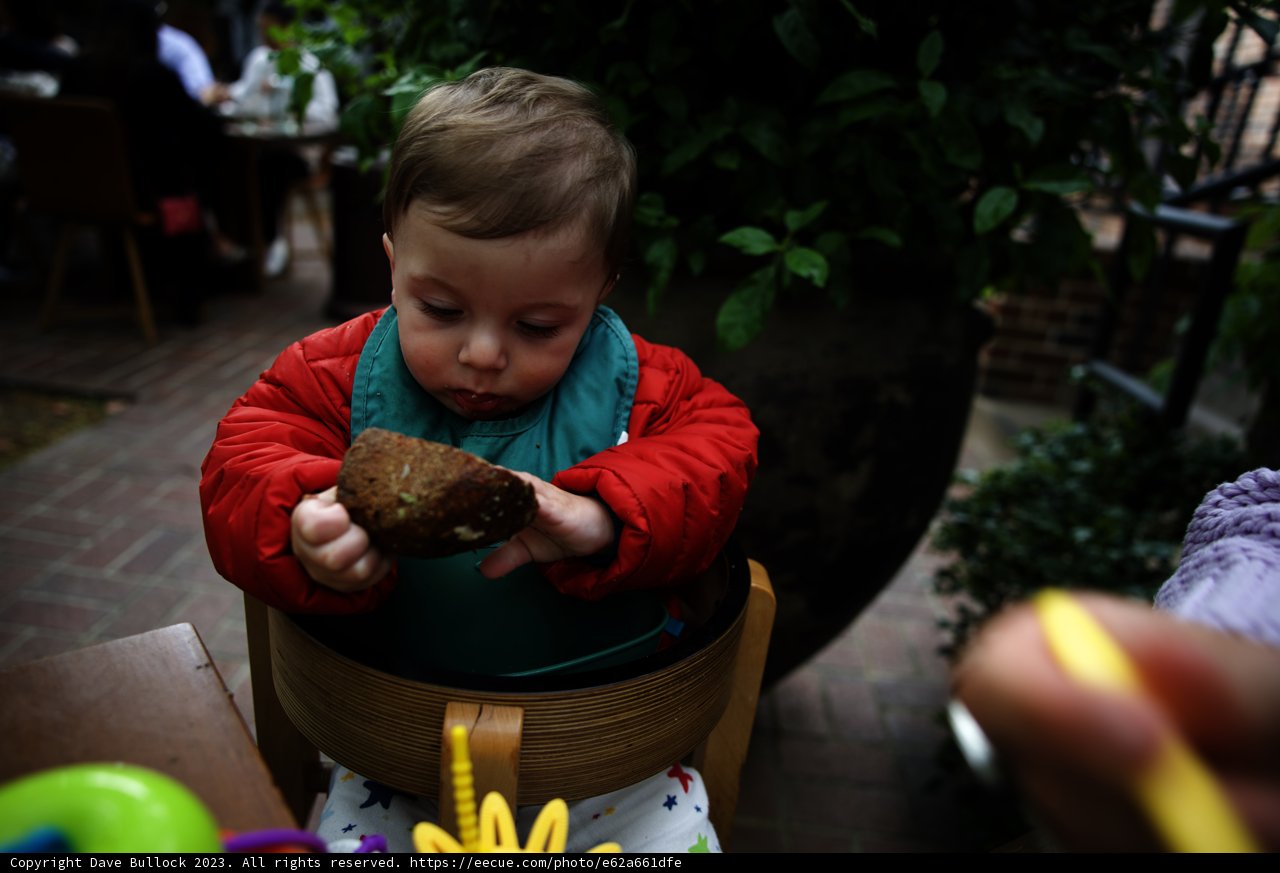 Baby's First Banana at Charter Oak Potluck