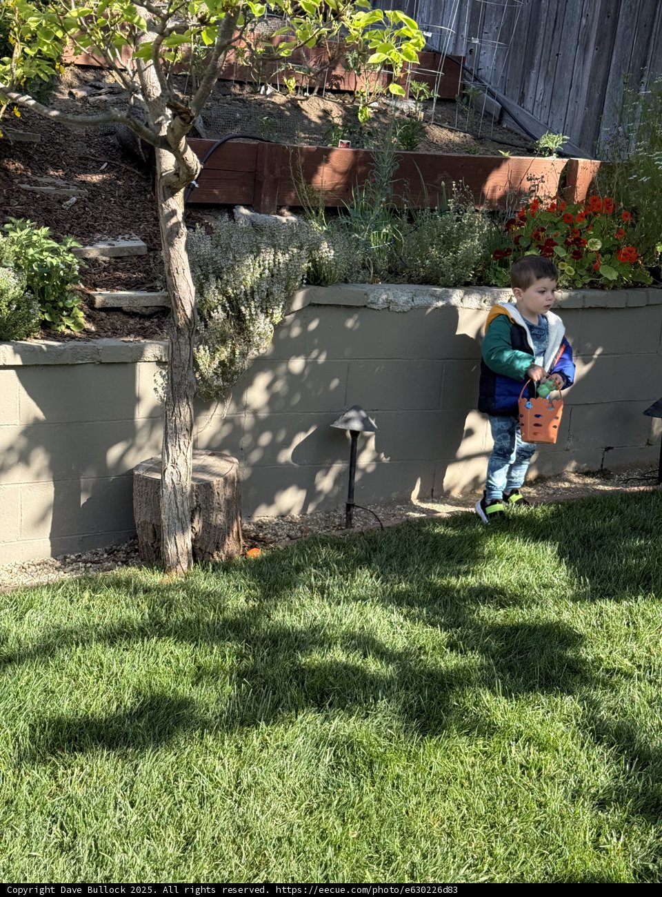 Spring Explorations in the Backyard