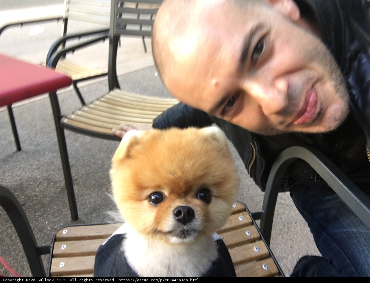 Jiff Meeting Fans