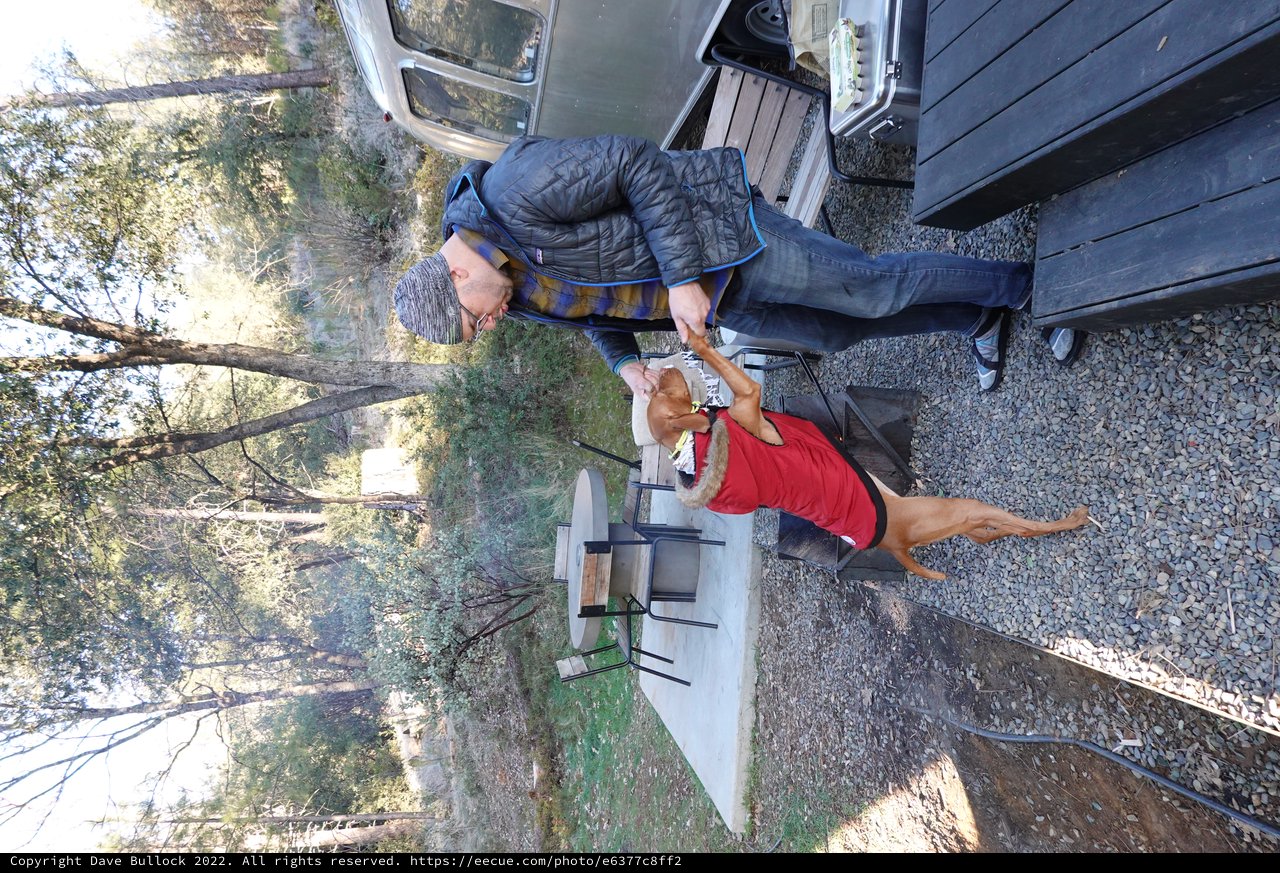 Man Feeding Dog at Campground Picnic Site