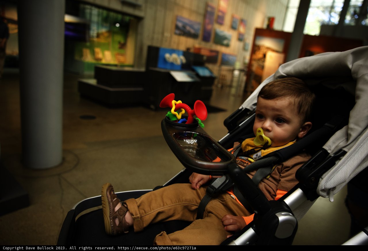 A Day at the Museum with Baby