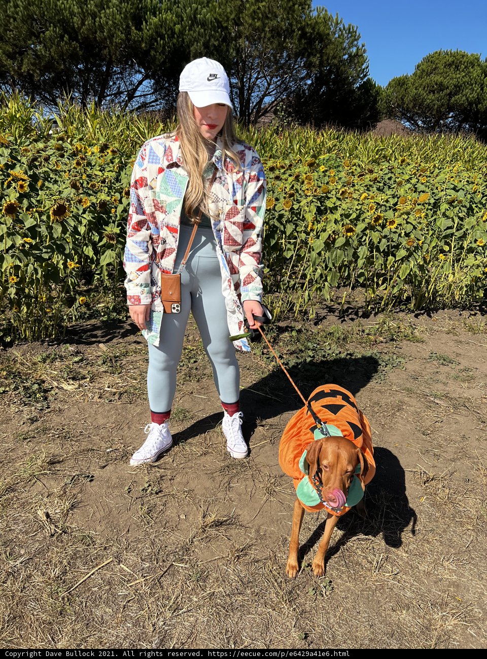 Woman and Beagle Enjoying the Sunny Outdoors