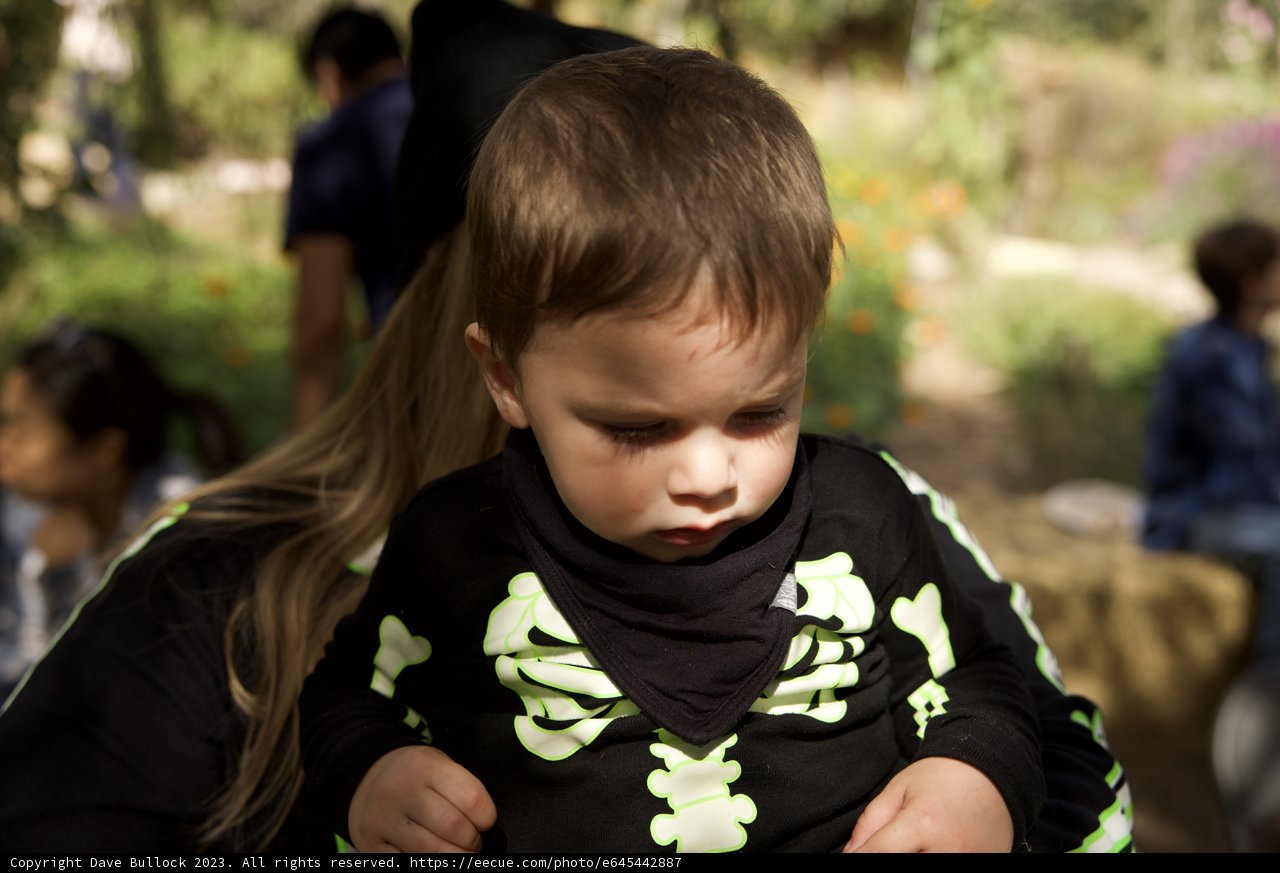 A Tender Embrace in the Park