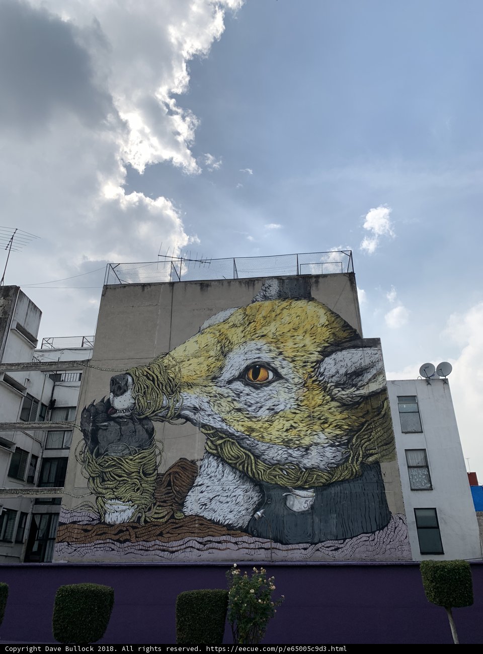 Foxy Mural