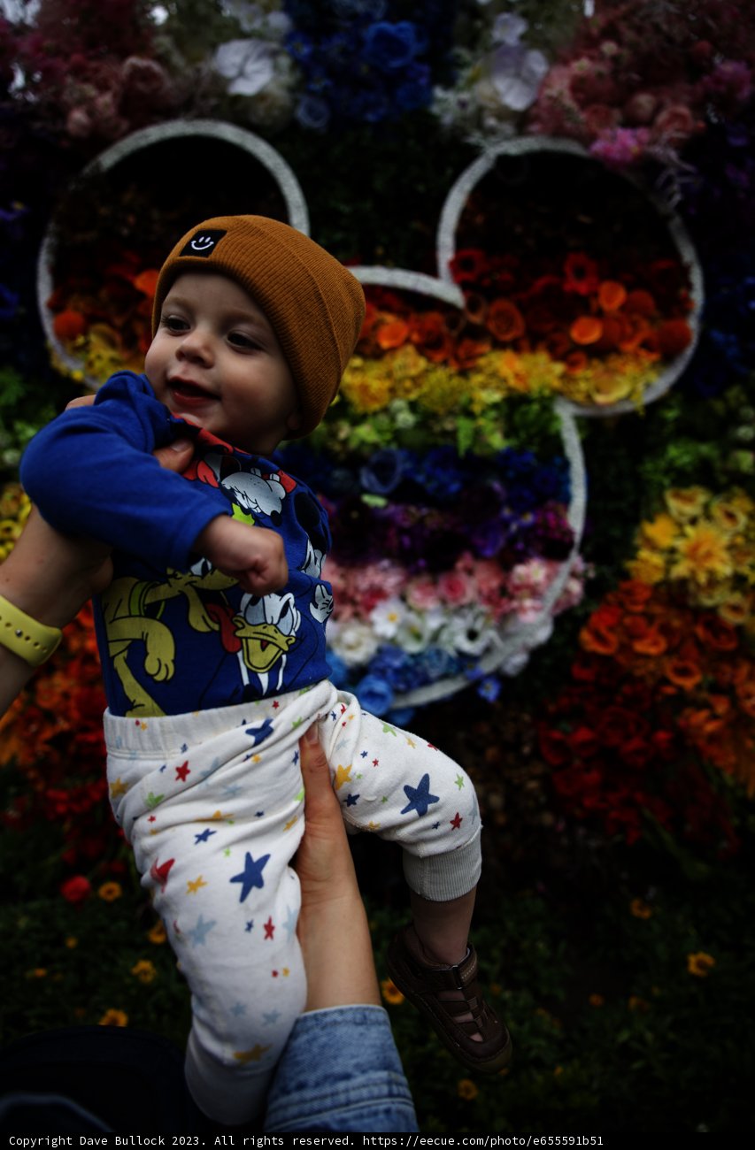 A Blooming Day at Disneyland