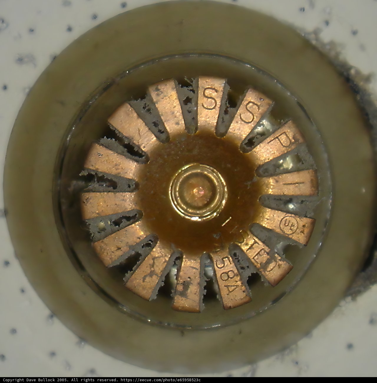 Brass and Gold Toilet Bowl