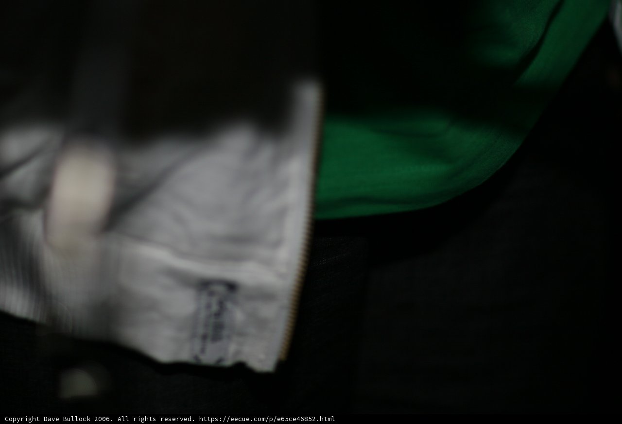 Green Shirted Samurai