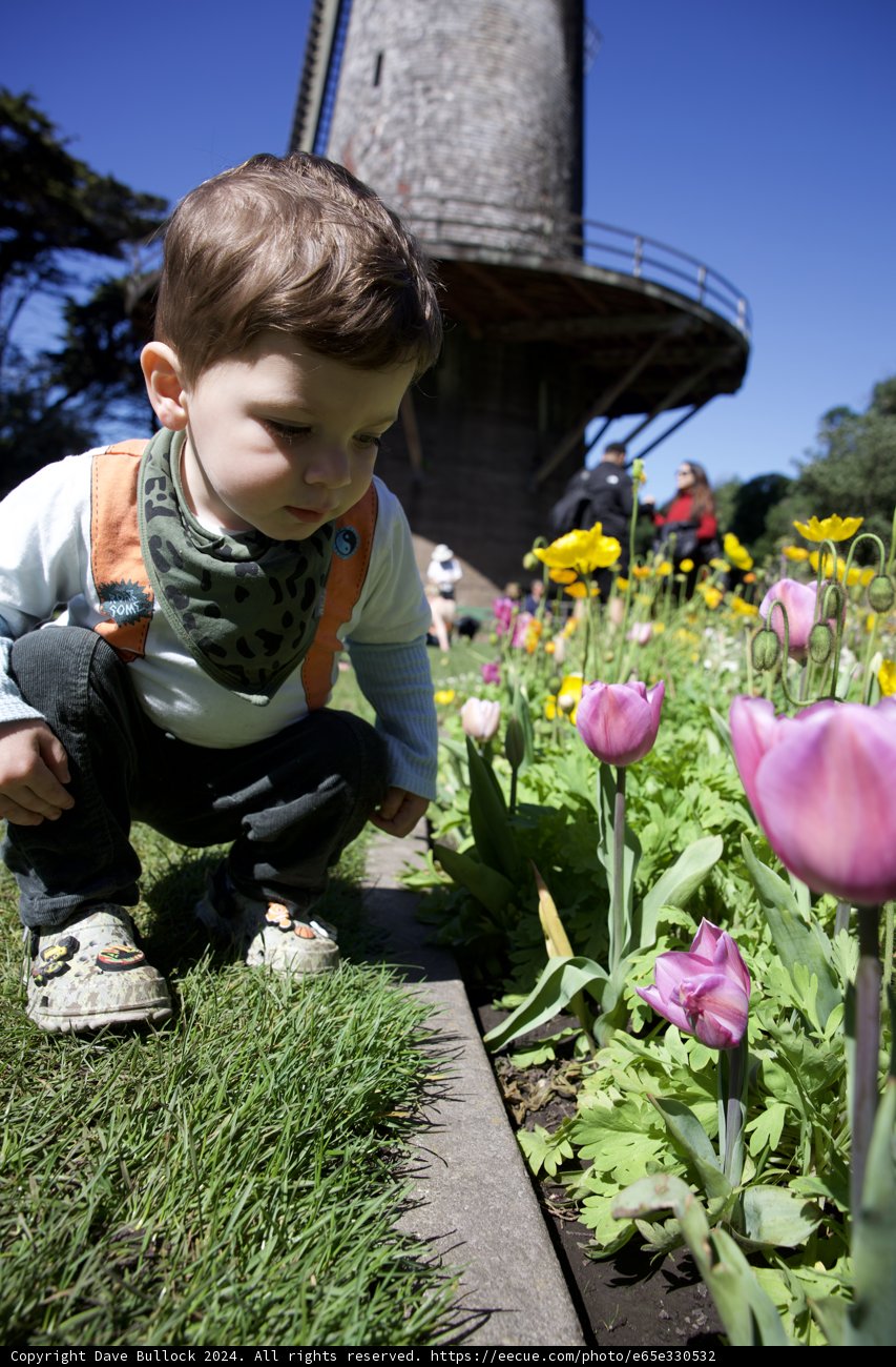 Discovery in Blossom: A Young Explorer in the Garden