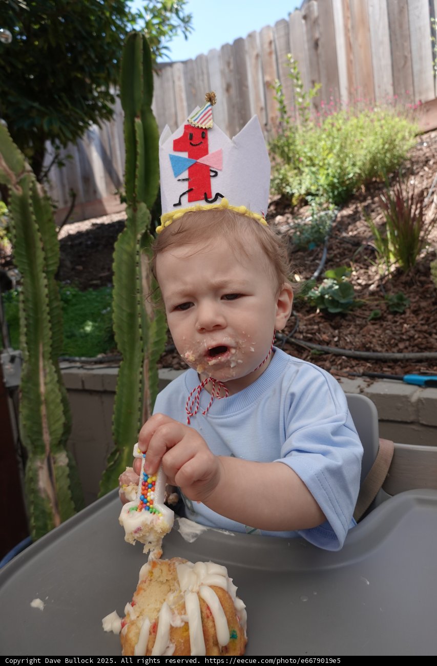 First Birthday Adventure