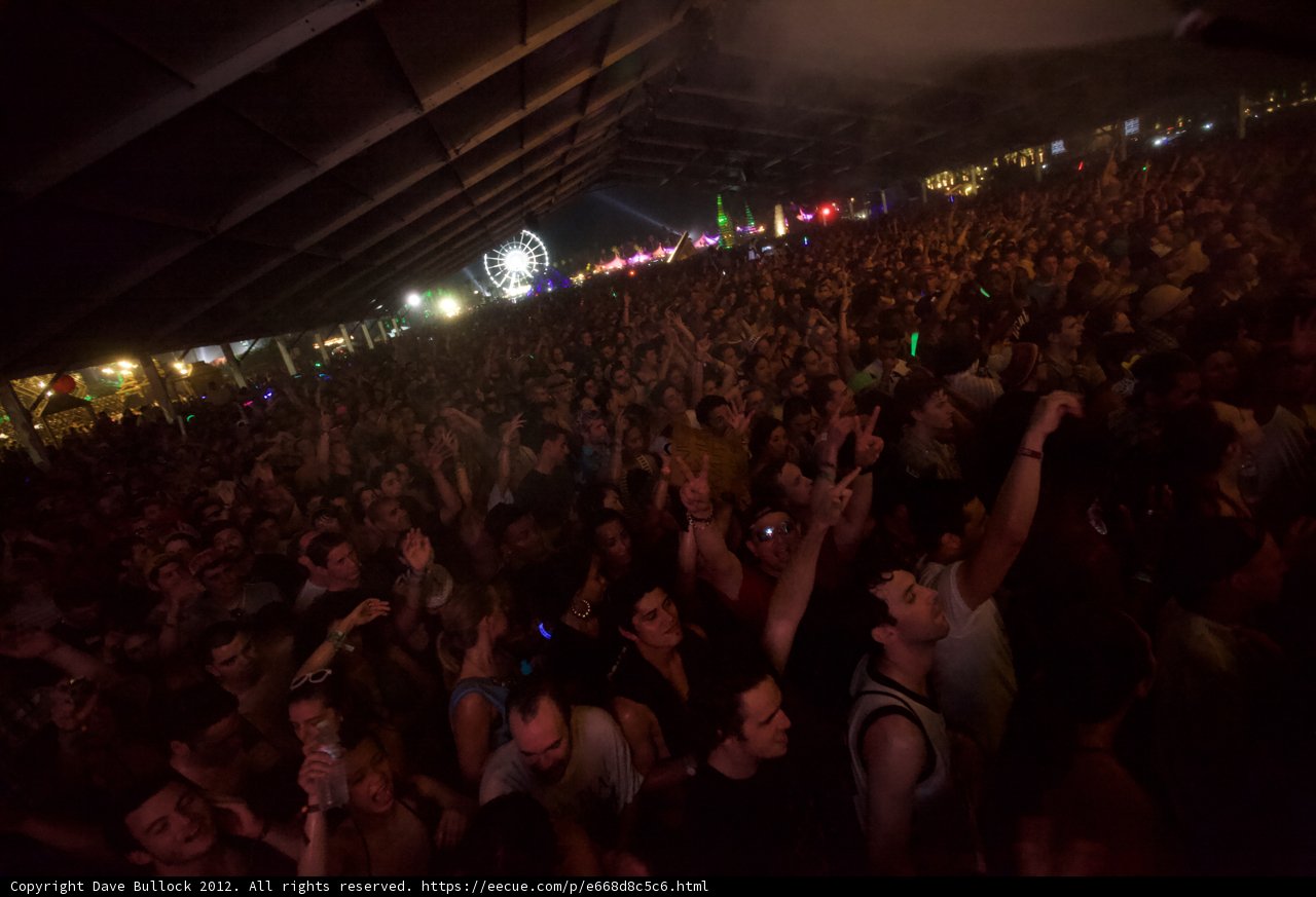 Rocking with Tye Sheridan at Coachella