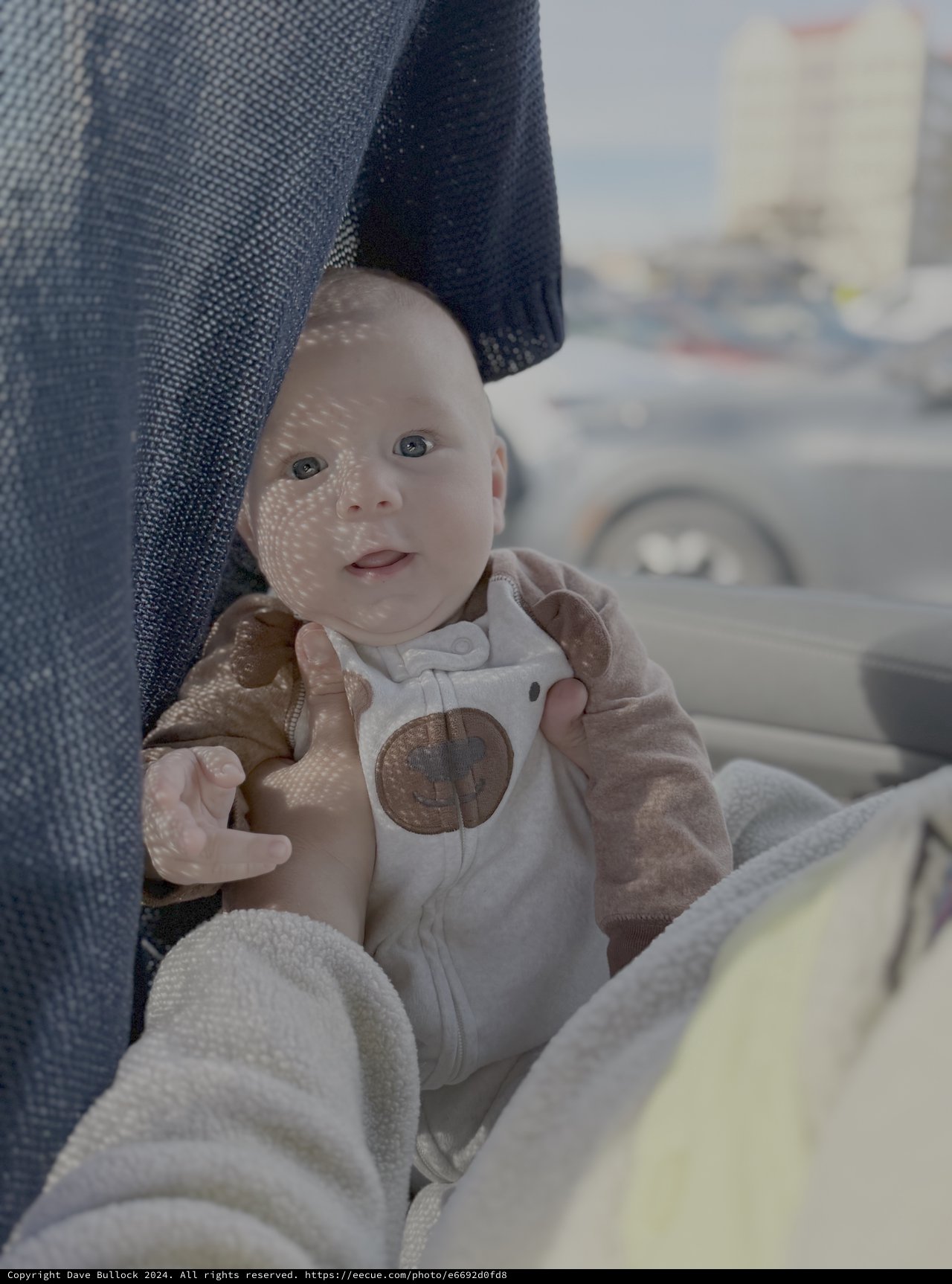 Baby in Car Seat with Dappled Sunlight