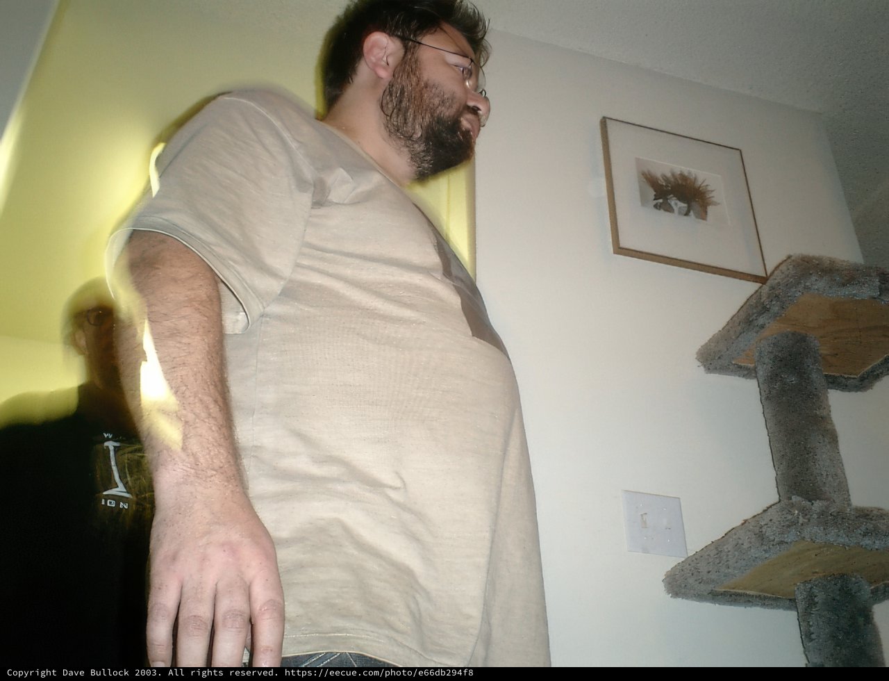 Cat and Bearded Man