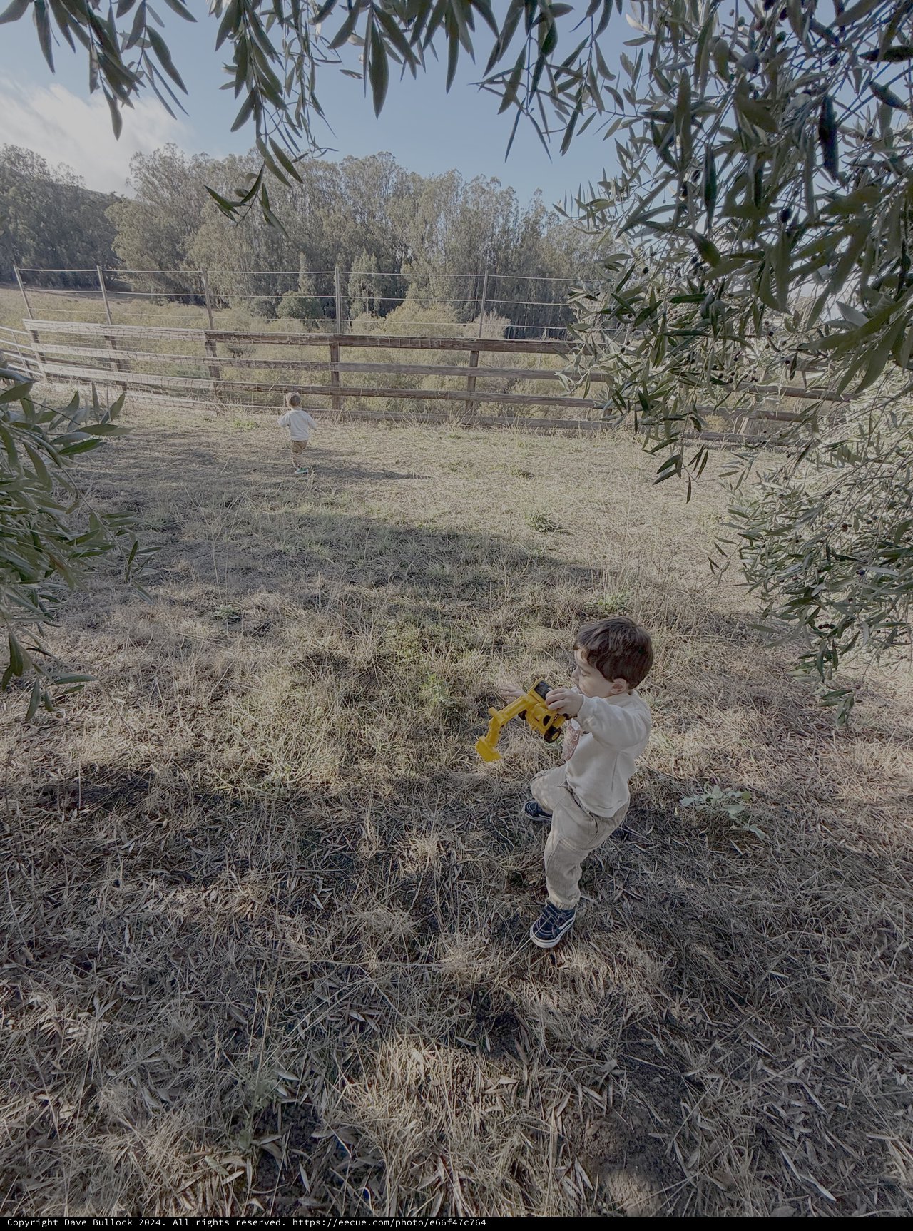 Child Playing with Toy in Rural Field