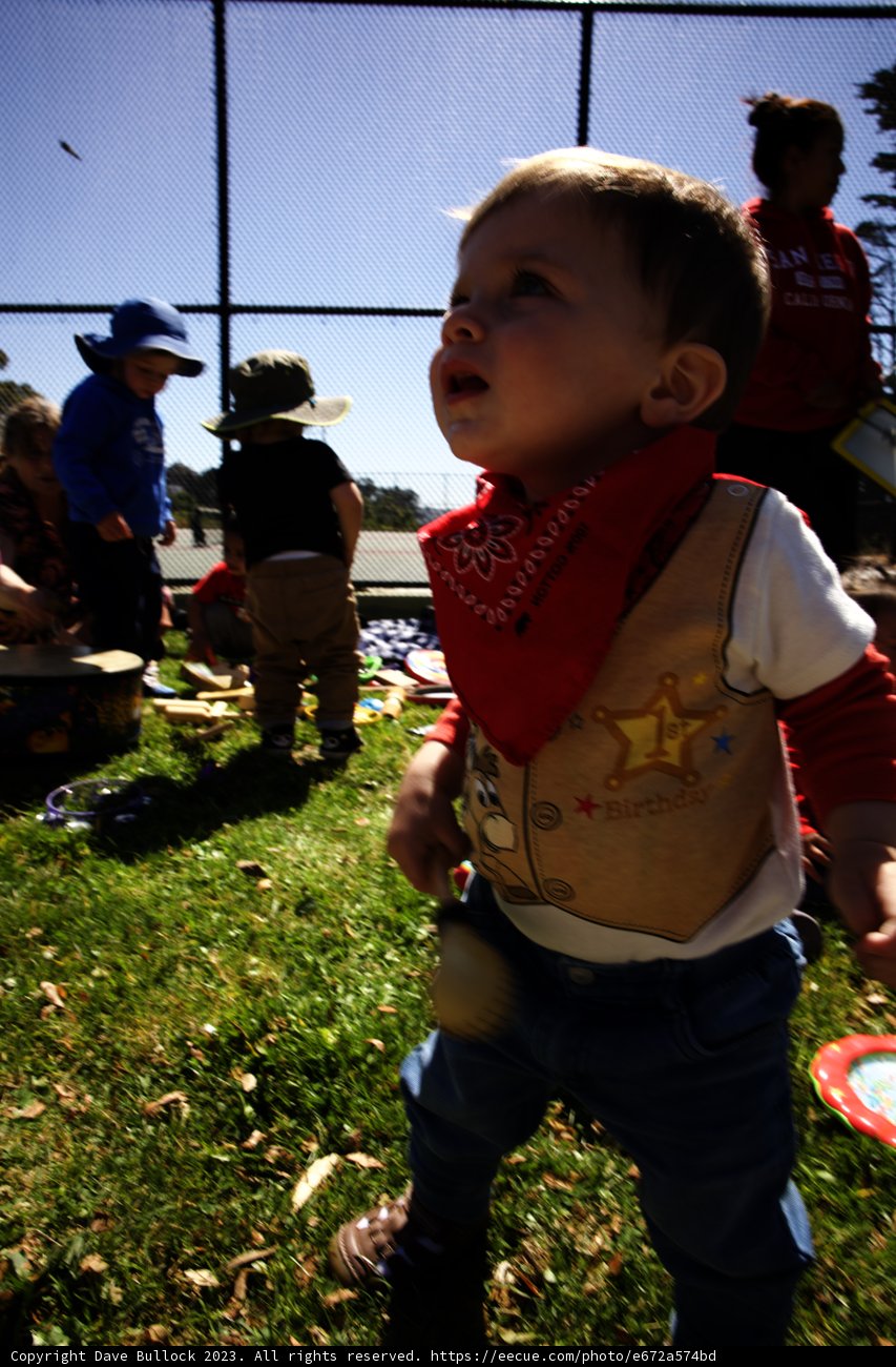 Cowboy Adventures on Wesley's First Birthday