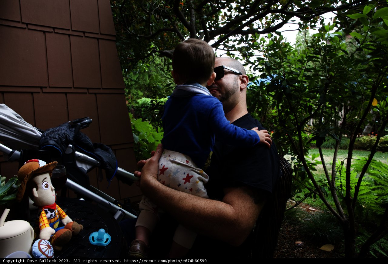 Unforgettable Disney Moments with Little Wes