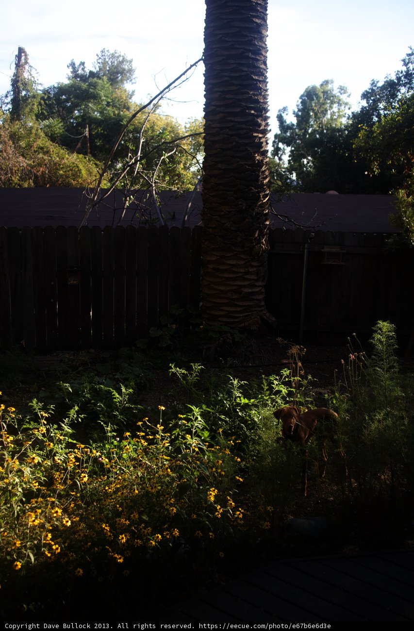 Serene Nature Scene