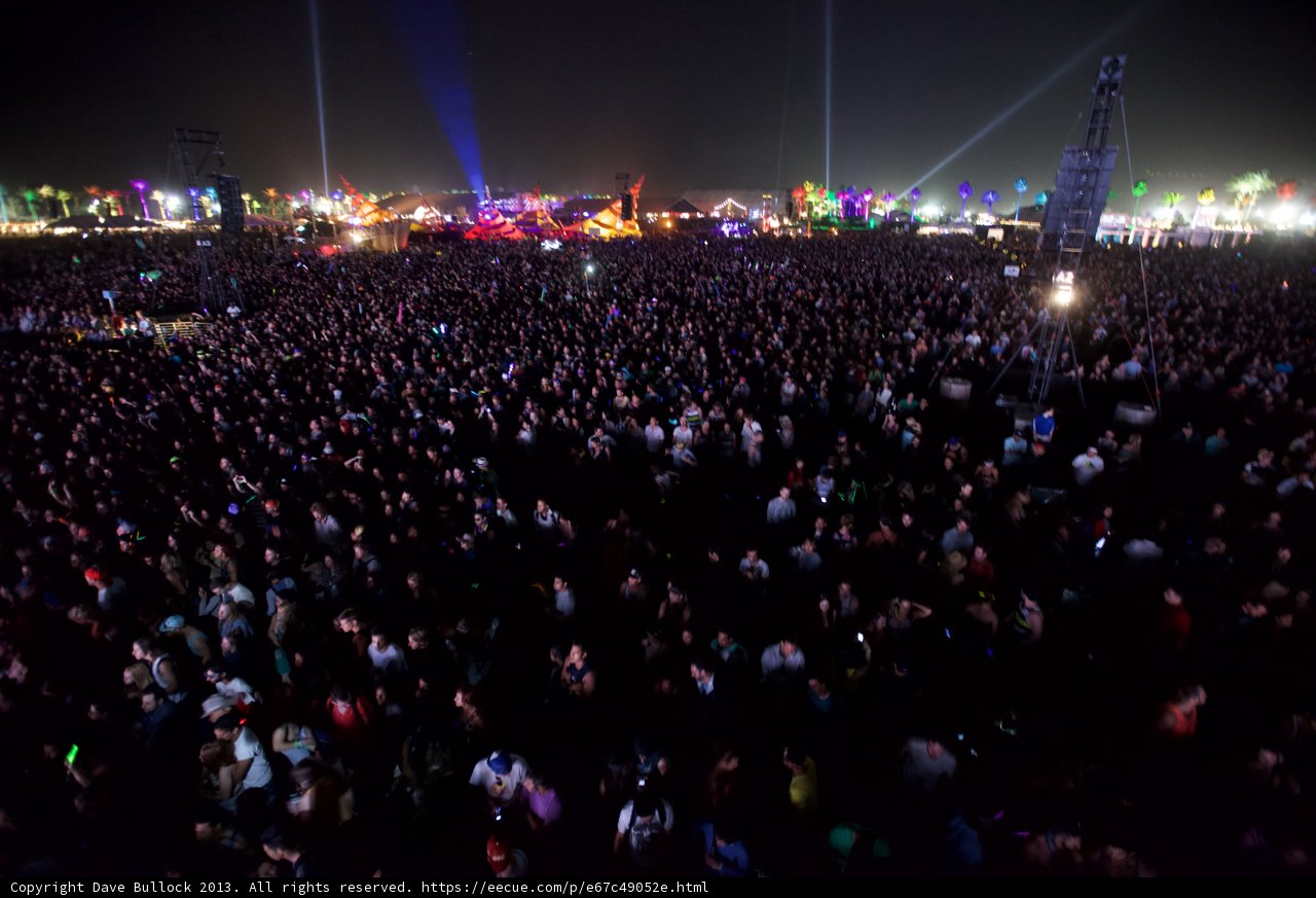 Coachella Nights