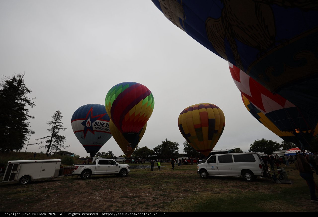 Hot Air Balloons Rise at Sonoma County Classic