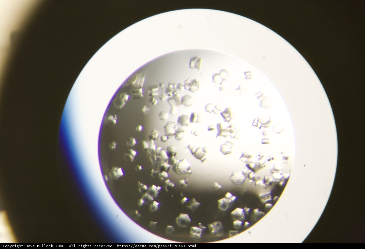Bubbles in a Biotech Plate
