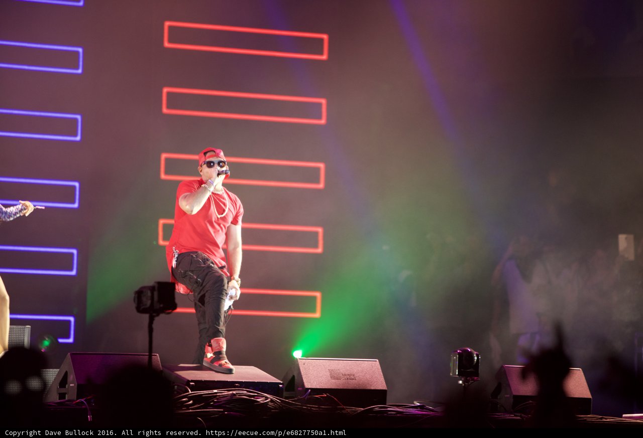 Electric Performers: Lights, Music, and Entertainer