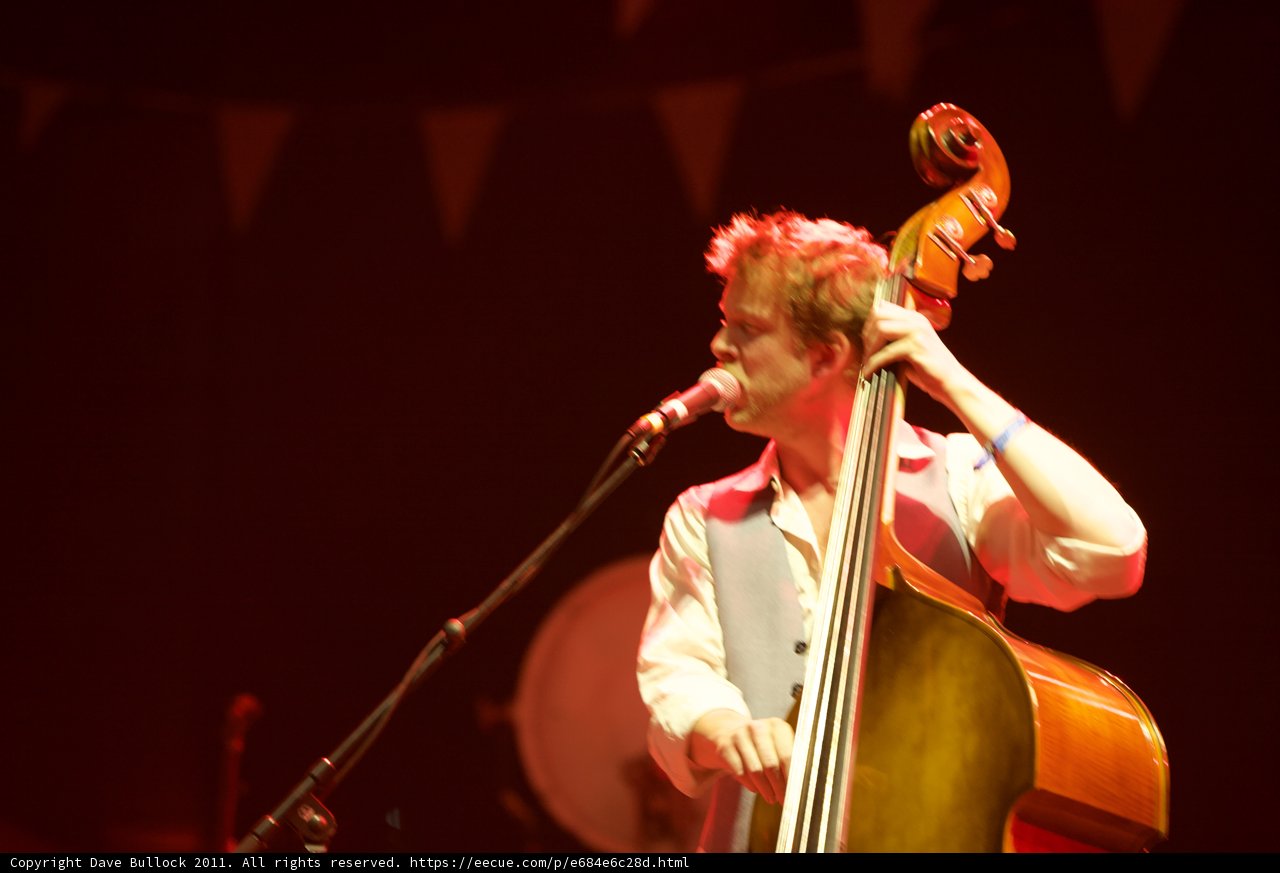 The Double Bassist Takes the Stage