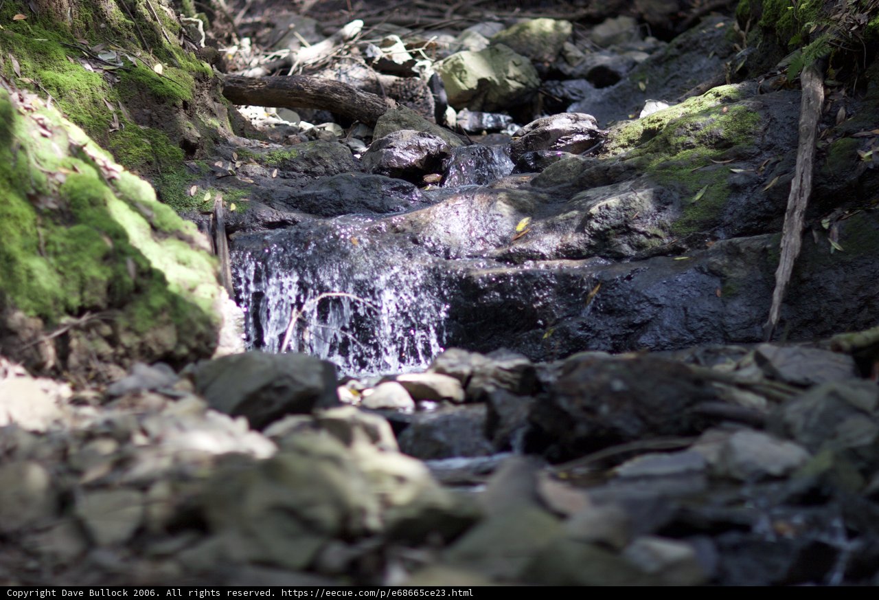 Tranquil Stream in the Wilderness