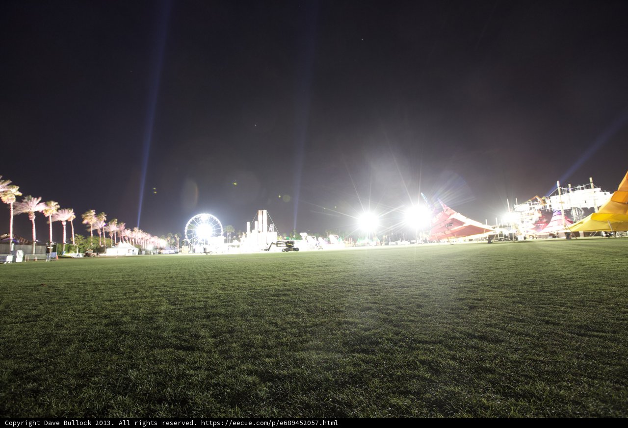 Night Lights on the Grass