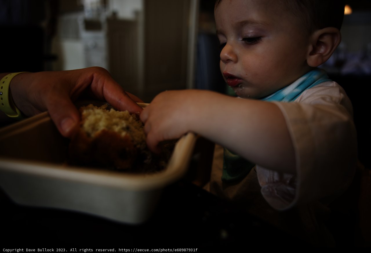 Muffin Munching Moment