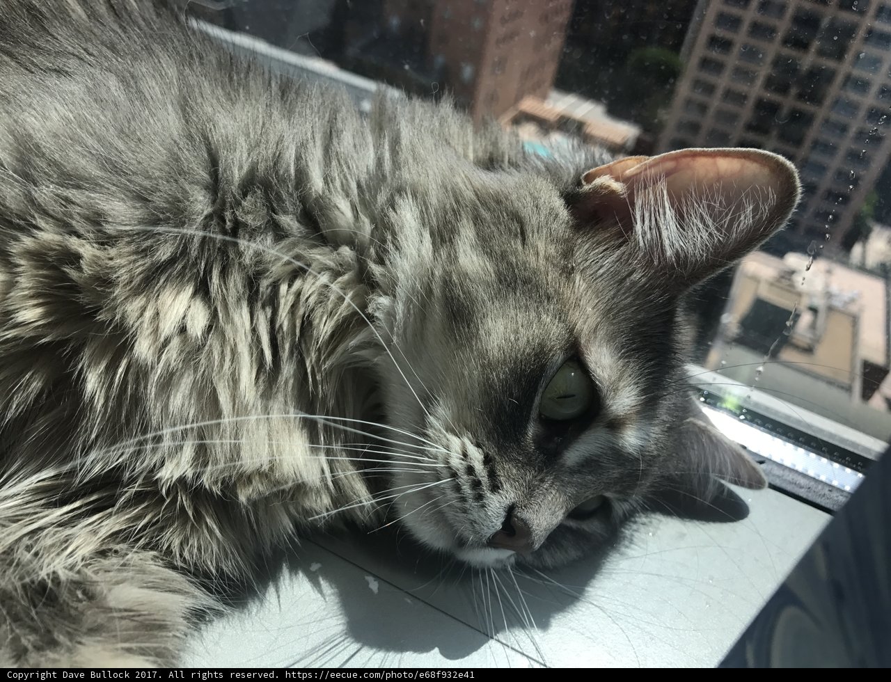 Lazy Days