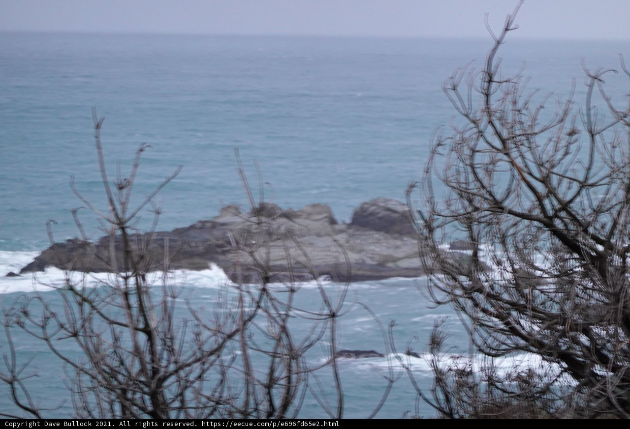 Coastal Serenity