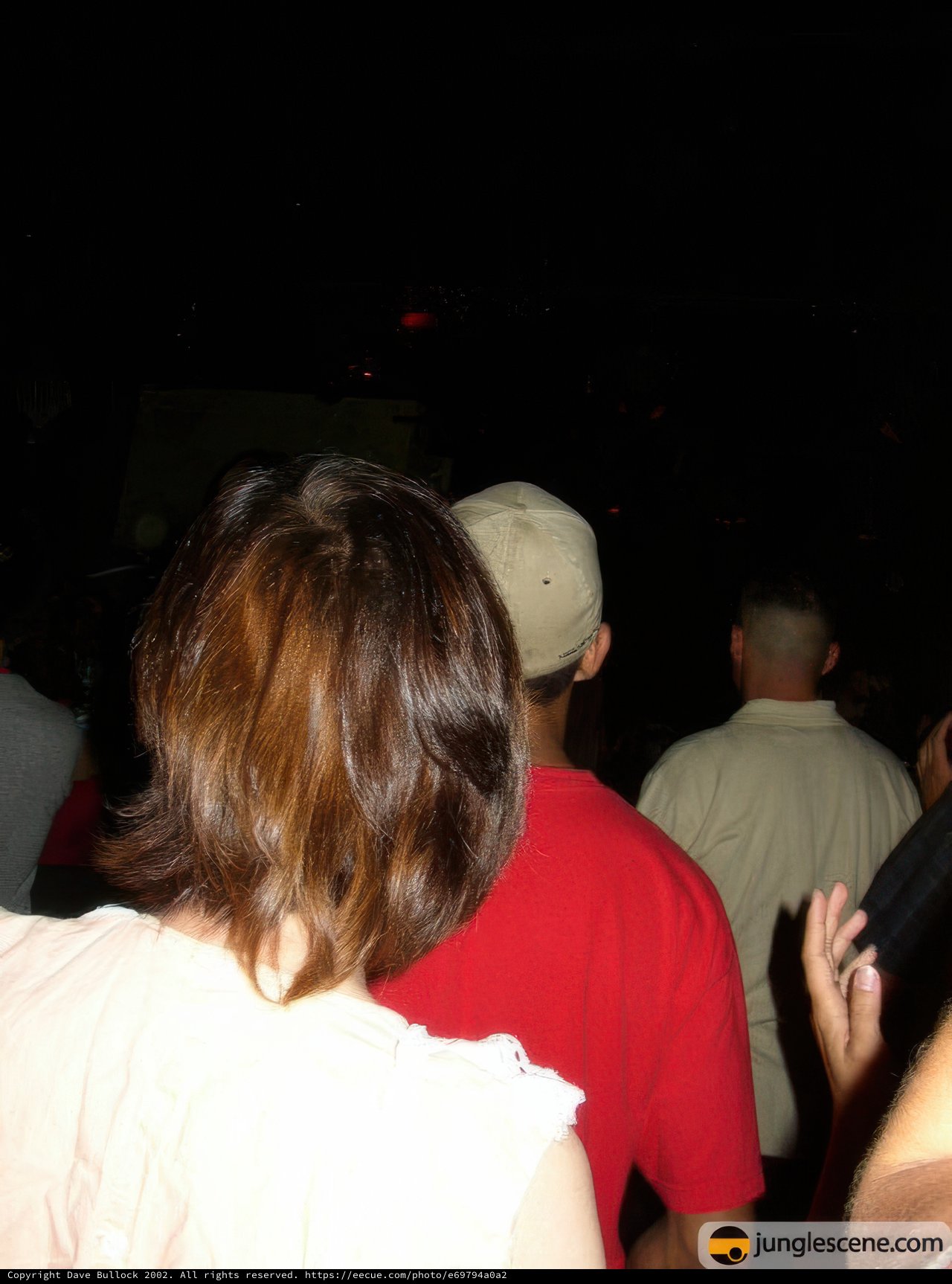 Night Club Partygoers