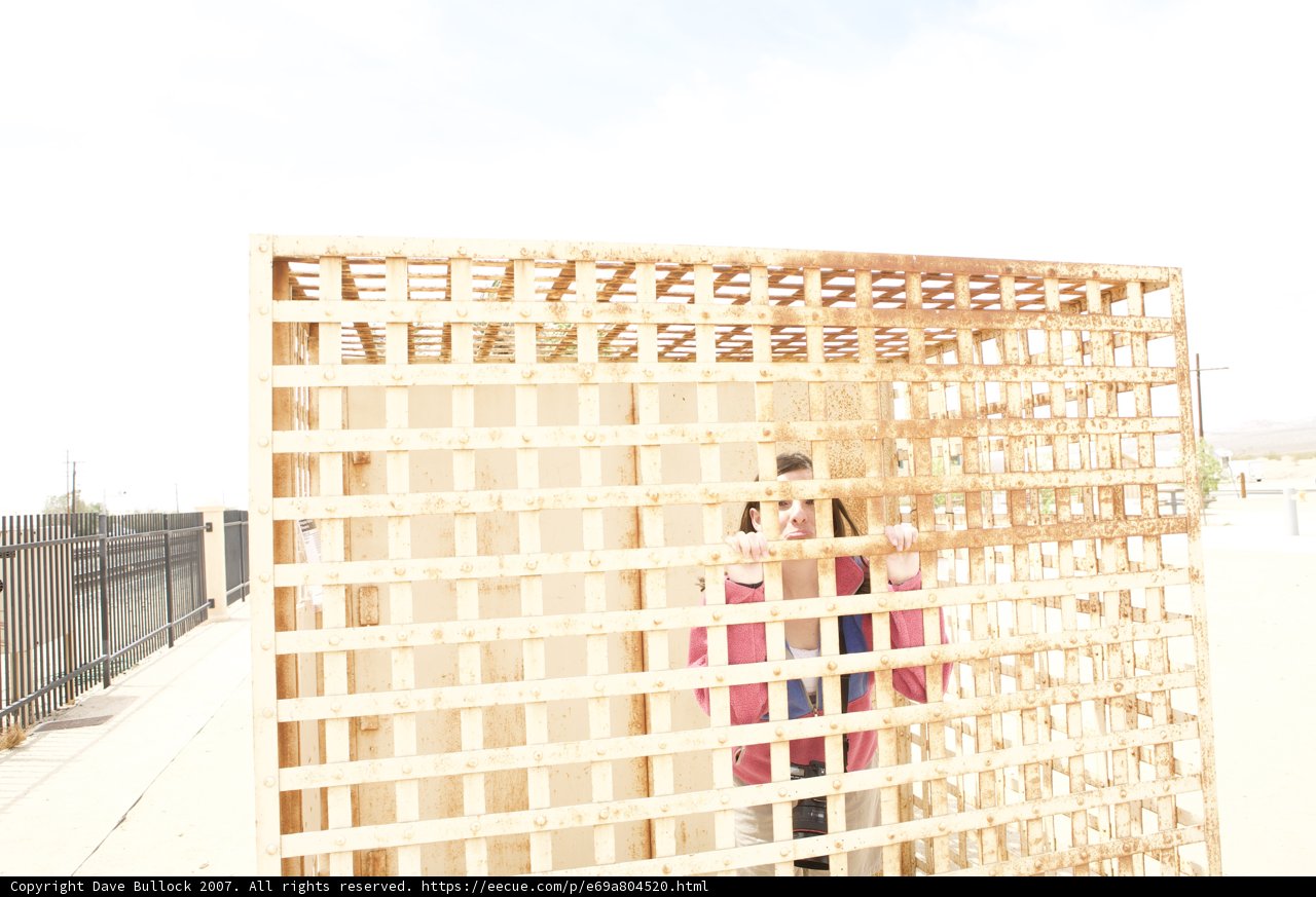 Woman in a Wooden Box