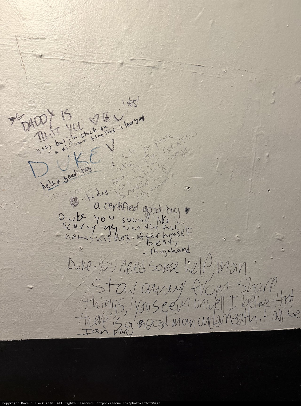 Handwritten Wall Messages in a Bathroom Stall
