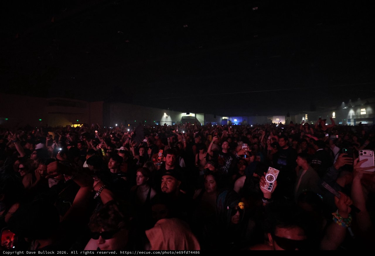 Massive Night Crowd at Wobbleland Music Festival 2026