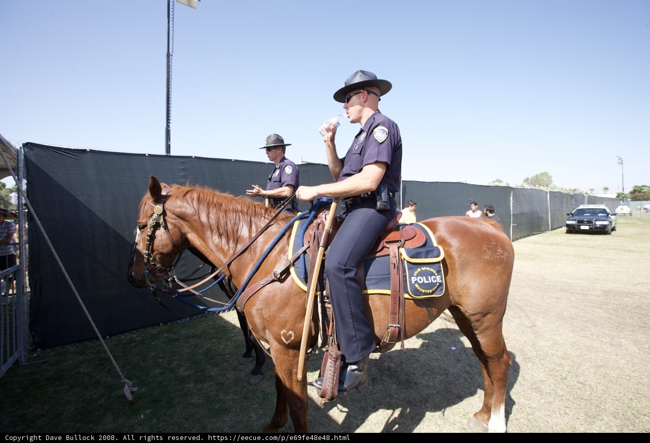 Mounted Officers in Action