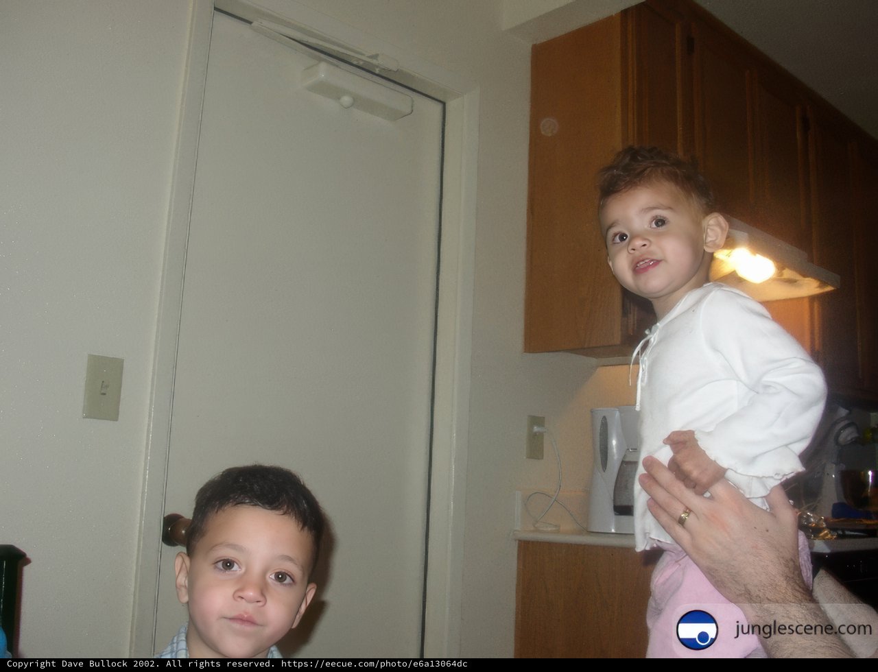 Father and Son in the Kitchen