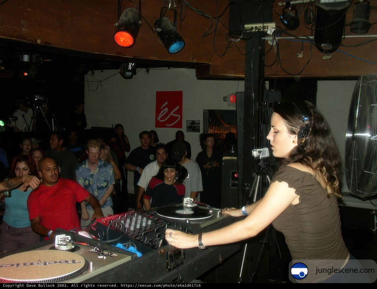 Party DJ rocks the night away