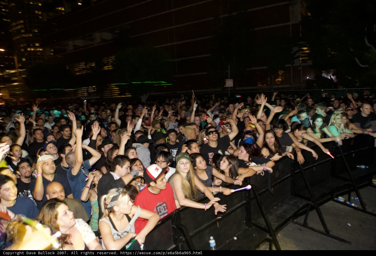 Nocturnal Crowd at Urban Concert