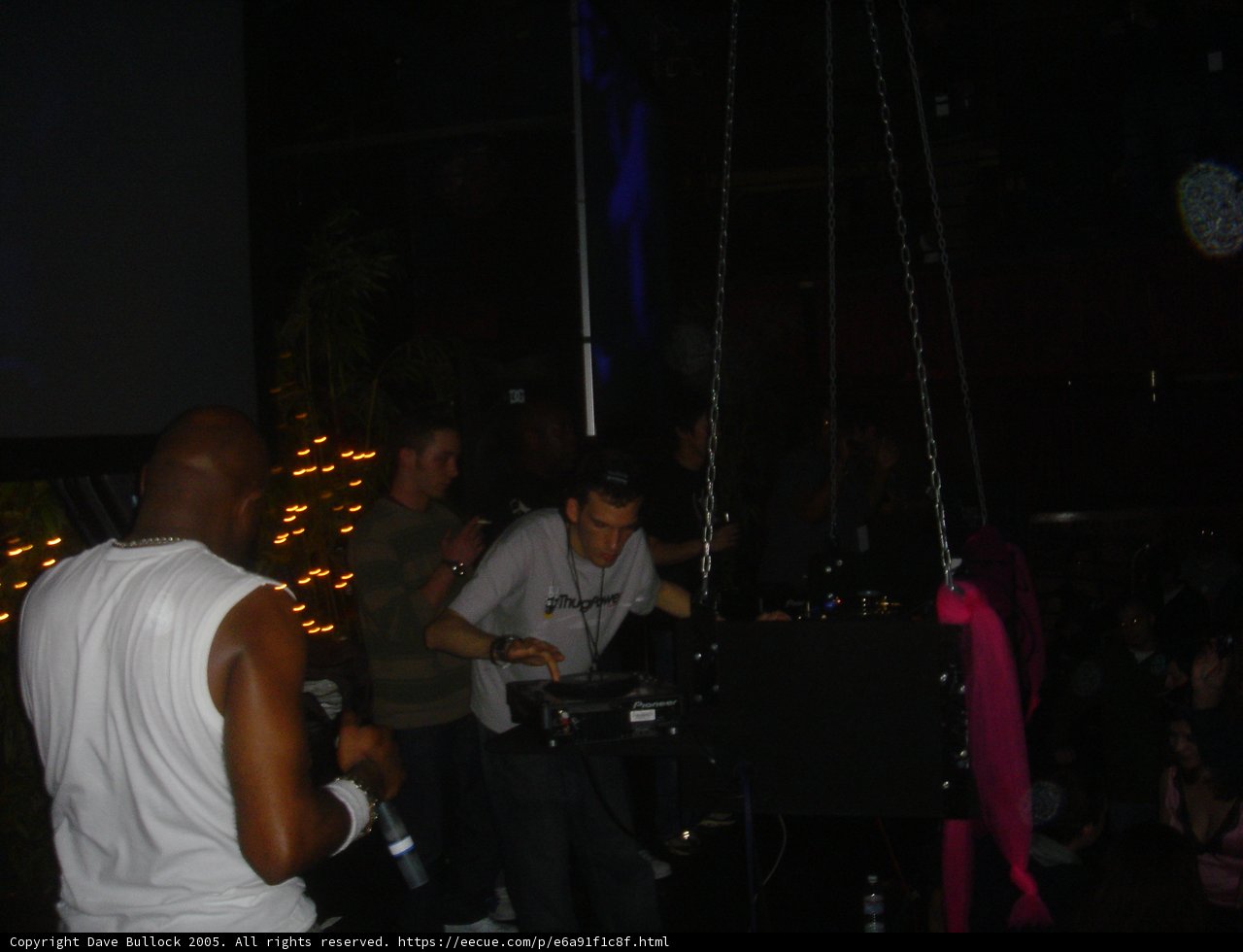 Night Club Vibes