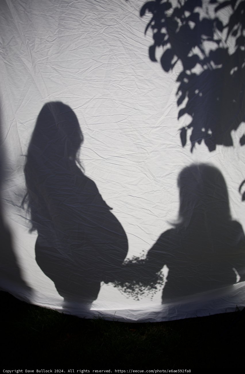 **Shadows of New Beginnings**