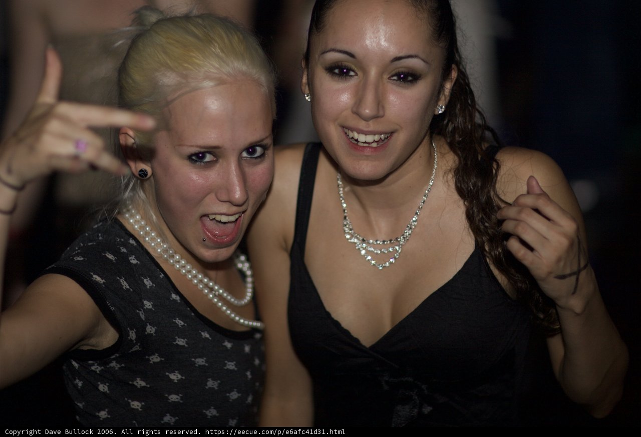 Elegant Ladies at a Cocktail Party