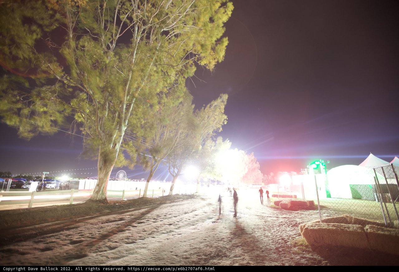 A Nighttime Stroll Amongst Trees and Lights