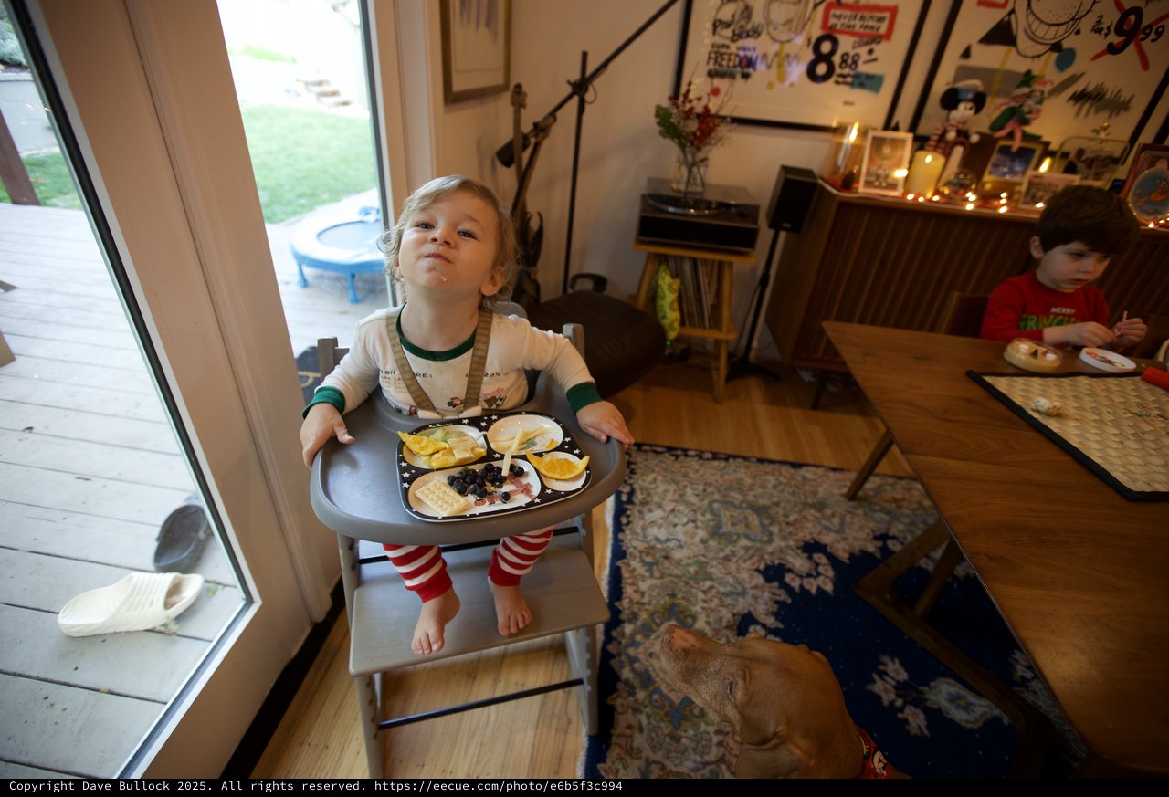 Toddler Proudly Carrying Christmas Eve Dinner Tray
